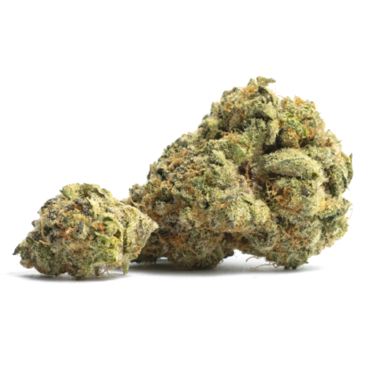bacio gelato strain