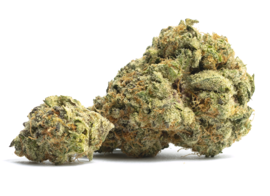 bacio gelato strain