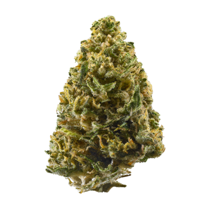 Northern Lights Strain, referred to as "Northern Lights Weed,"