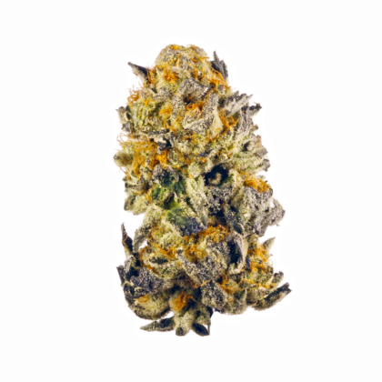Peach Crescendo Strain