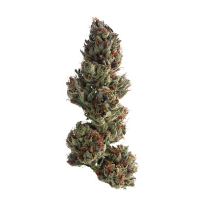 Runtz strain