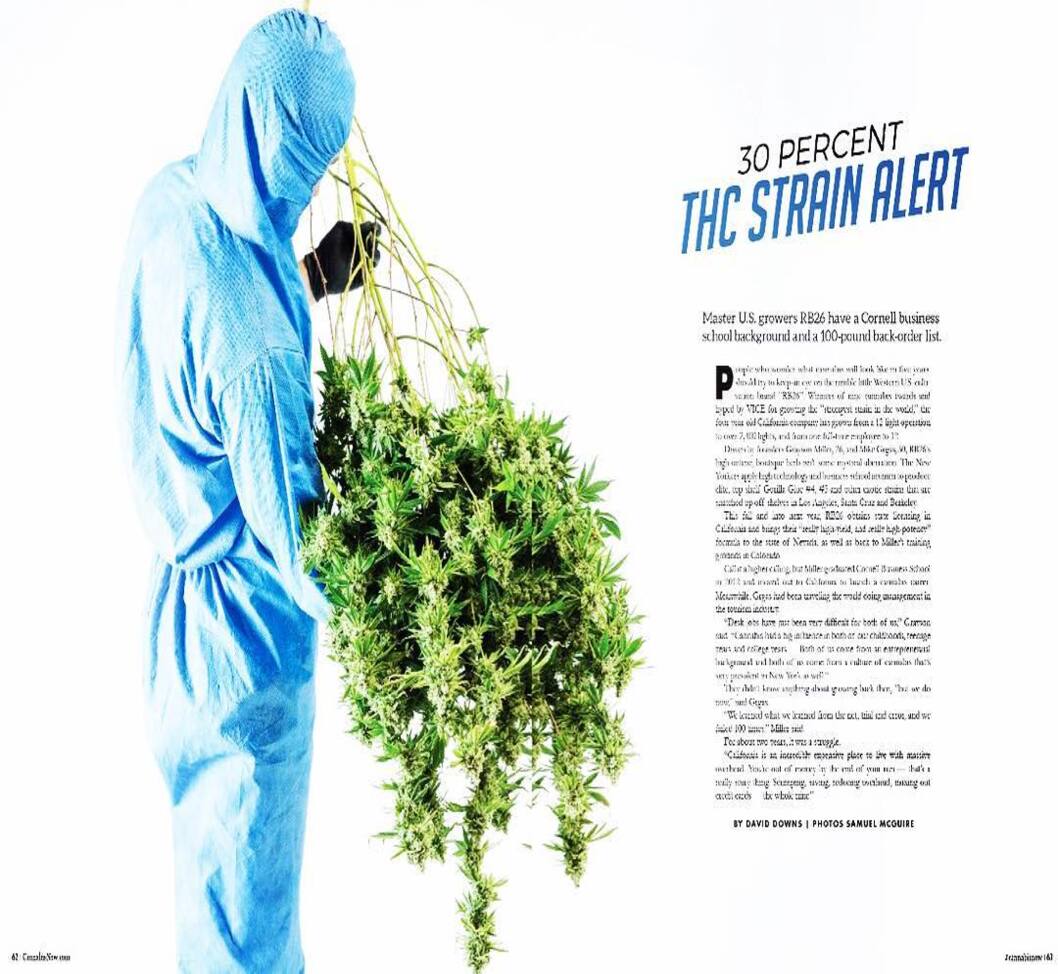 mail order marijuana