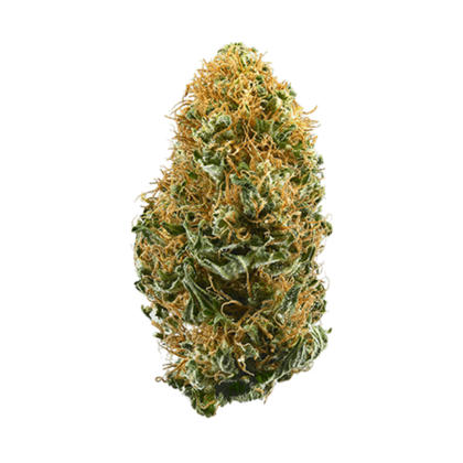 White Widow Strain, referred to as "White Widow Weed,” 