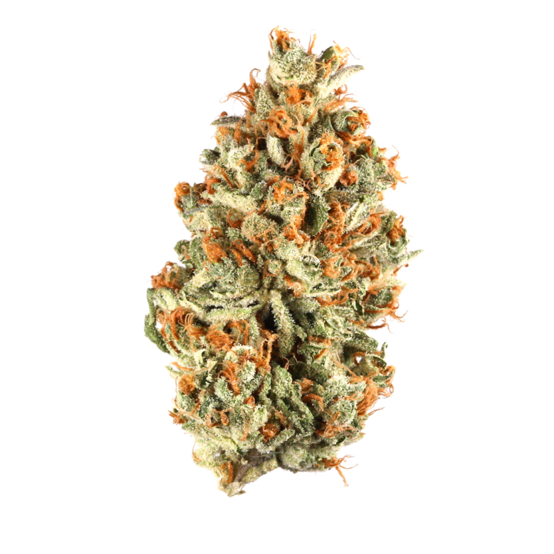 Larry OG Strain