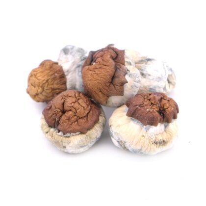 Blue Pulaski Magic Mushrooms