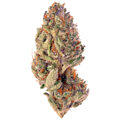 Blueberry Cupcake Strain
