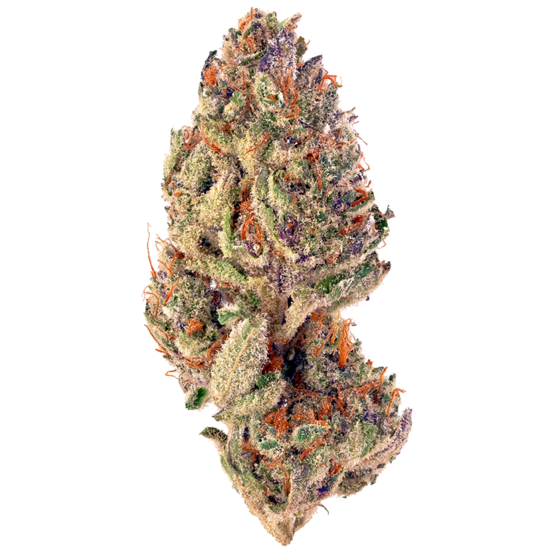 Blueberry Cupcake Strain