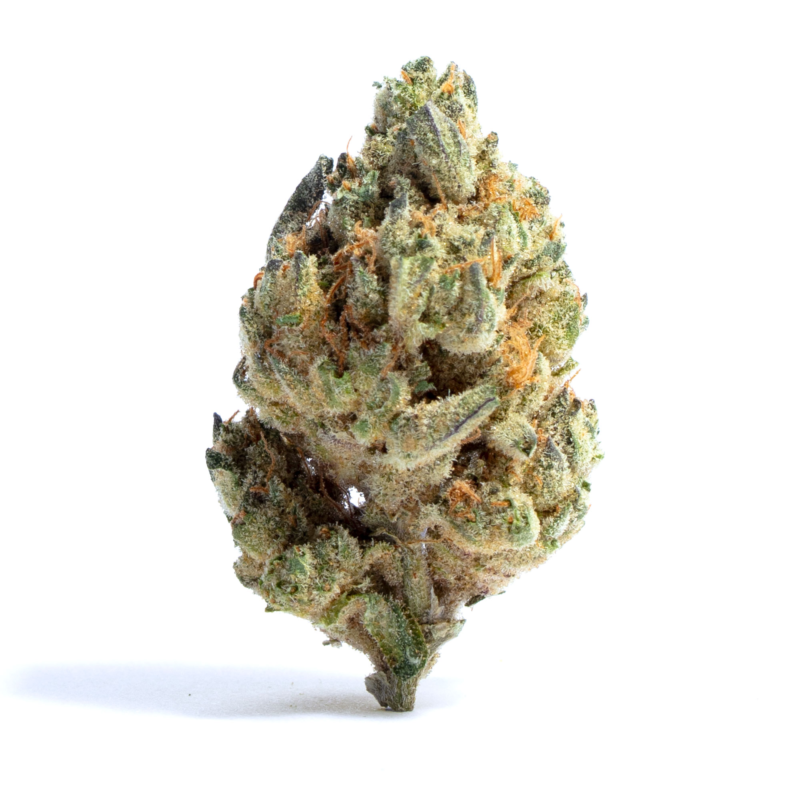 Chimera Strain