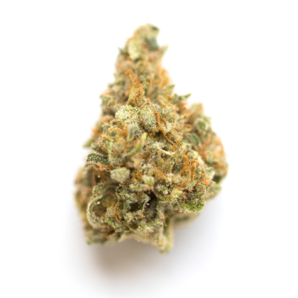 Donny Burger Strain
