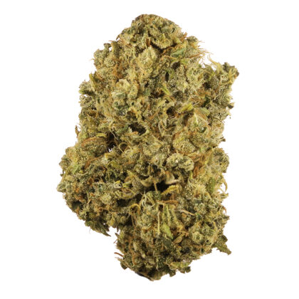 Durban Poison strain
