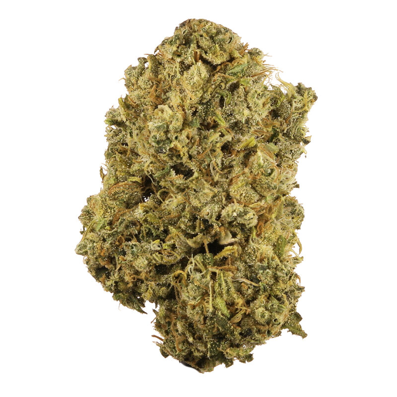 Durban Poison strain