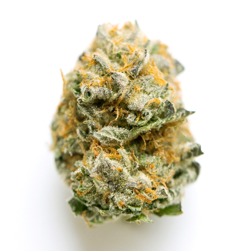 Grease Monkey Strain