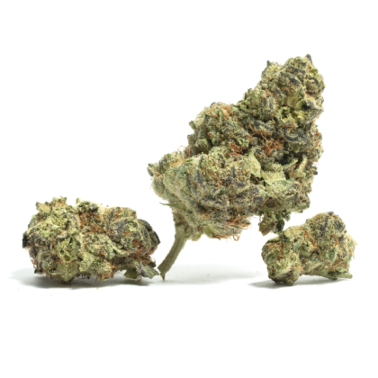 2090 Shit Strain