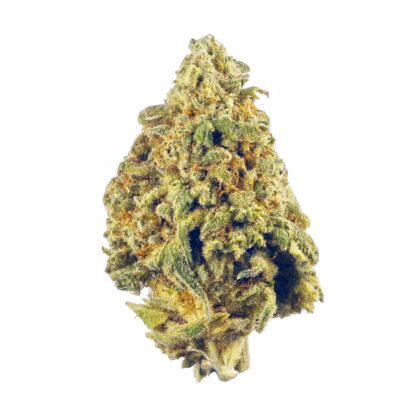 9 Pound Hammer Strain