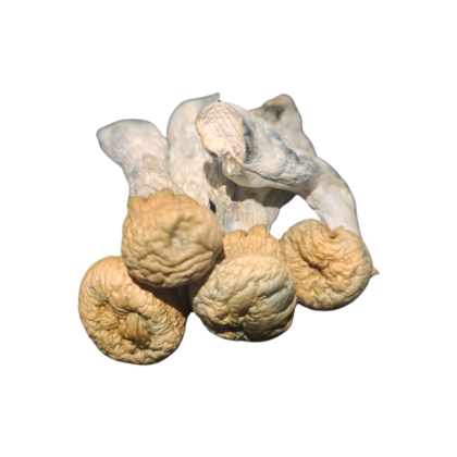 Albino Chode Wave Magic Mushrooms