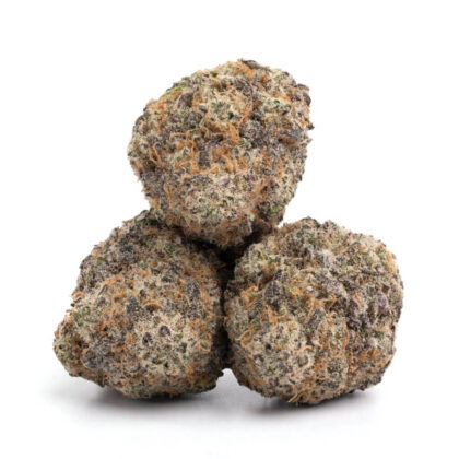 Alien Cookies Strain