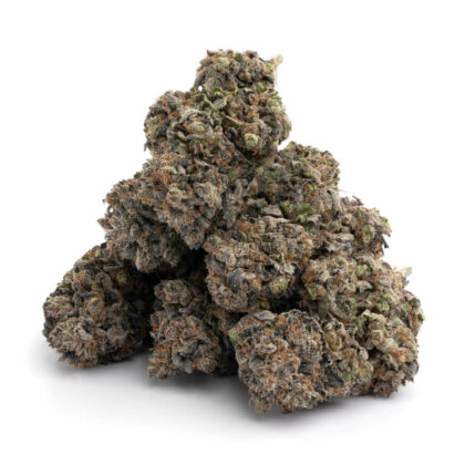 Animal Cookies Strain