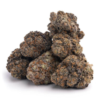 Animal Sherbet Strain