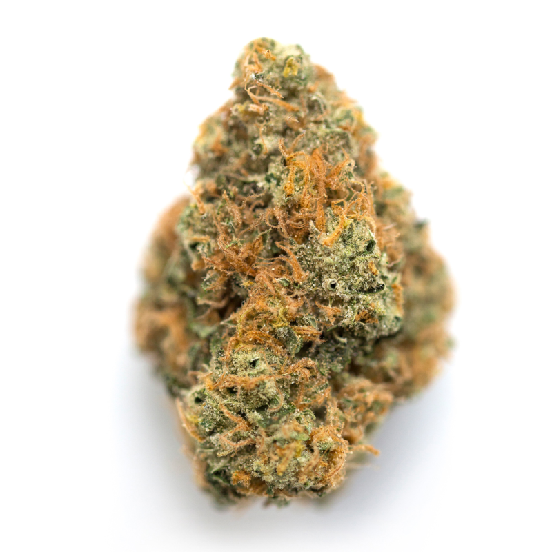 Blue Hawaiian Strain