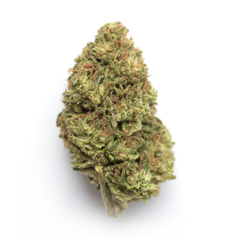 Blueberry Pie Strain