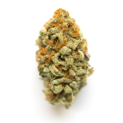 Cobbler Strain