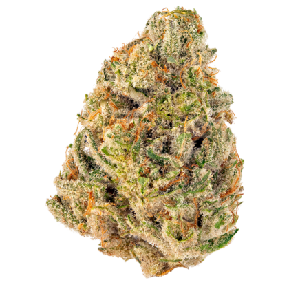 Hippie Crasher Strain