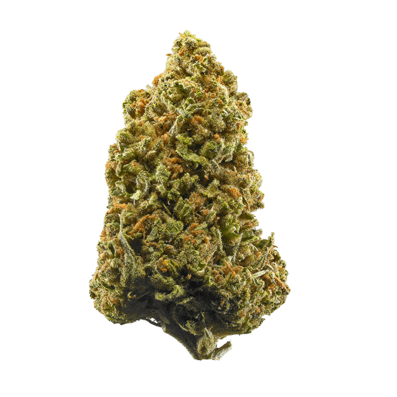 Lambs Breath Strain