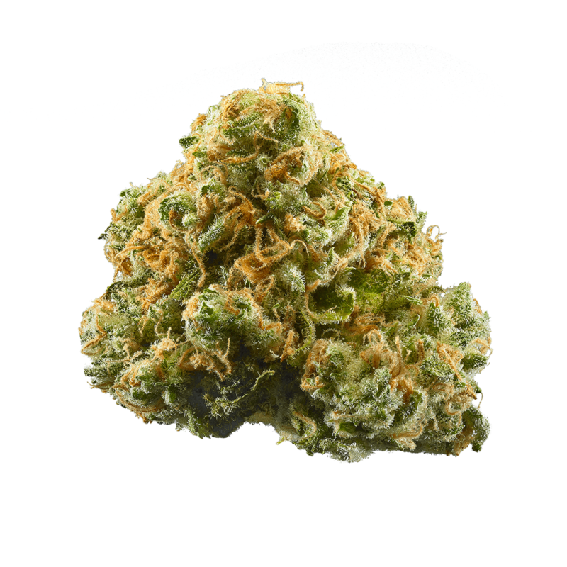 Love Potion #9 Strain
