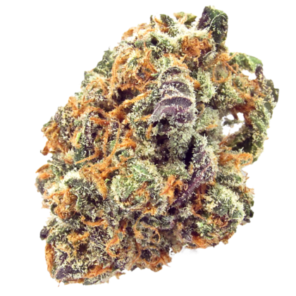 Mimosa Strain