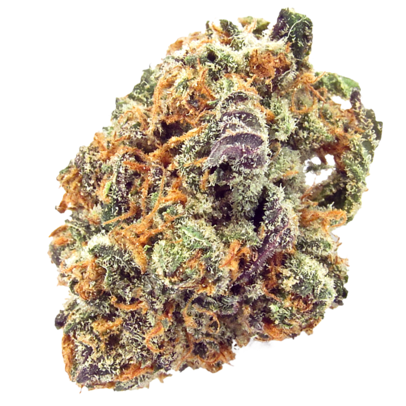 Mimosa Strain
