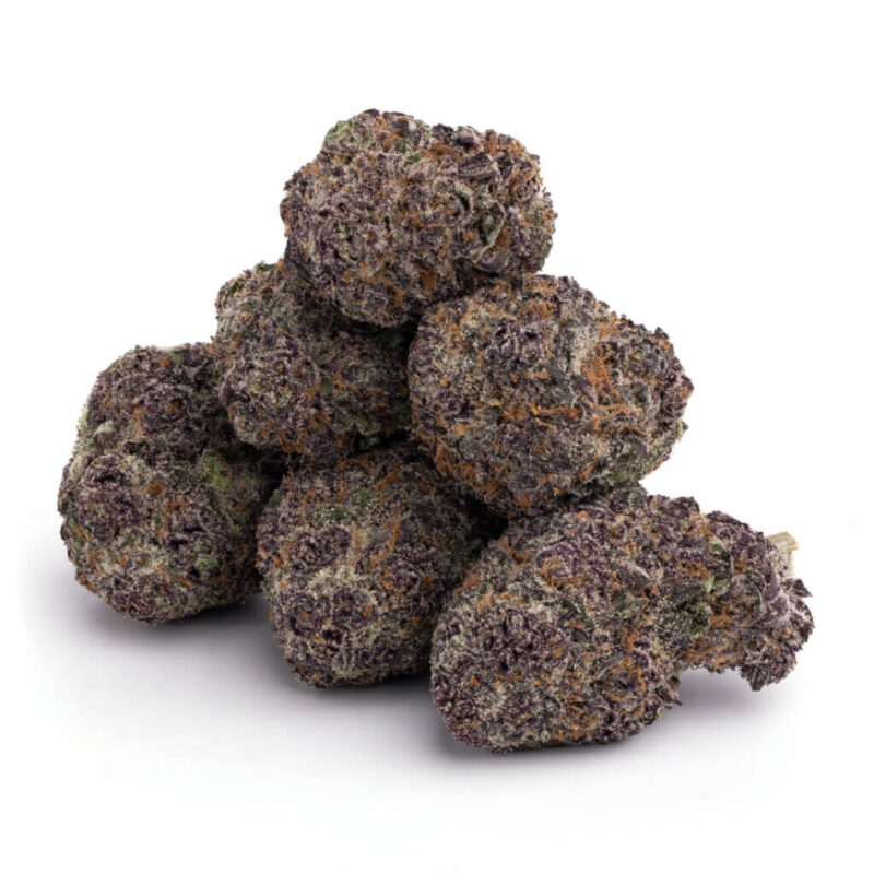 Purple Space Cookies Strain