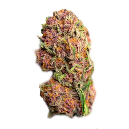 Red Mimosa XL Auto Strain