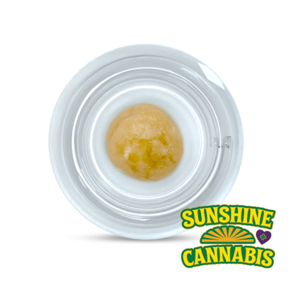 Sun Cake - Wax