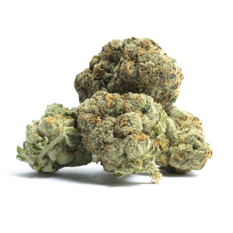Thin Mint Girl Scout Cookies Strain