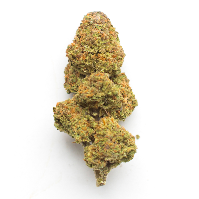 UK Cheese Strain