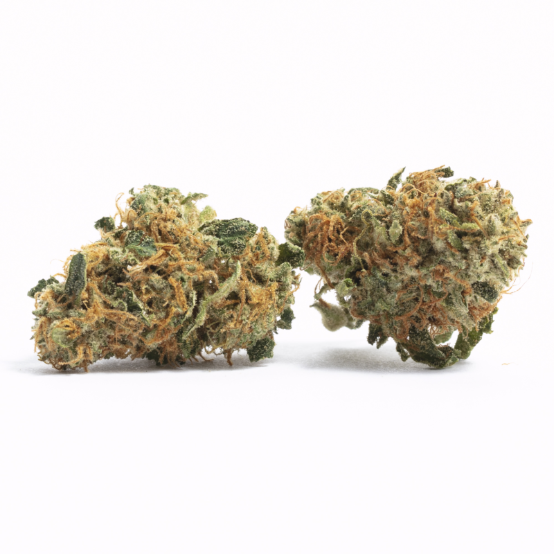 Wappa Strain