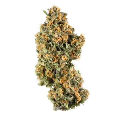 Willy Wonka Strain