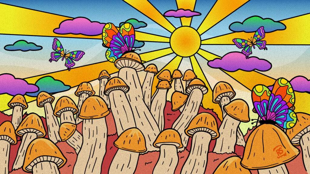 buy magic mushrooms