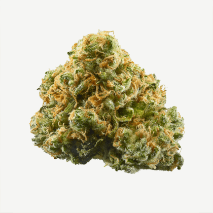 ACDC strain