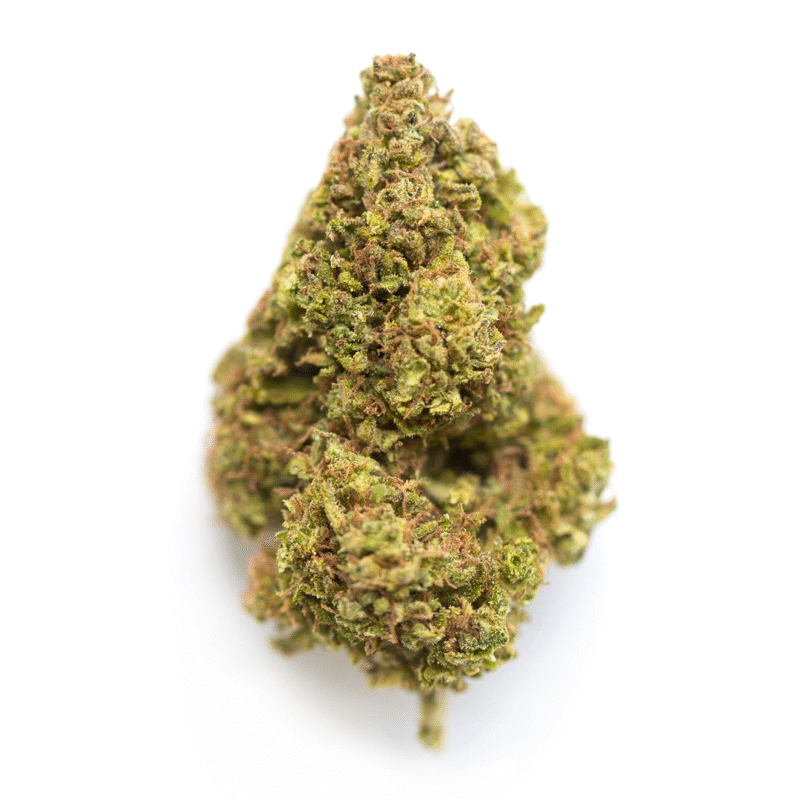 Pineapple Strain