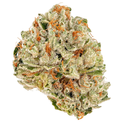 Royal Highness Strain